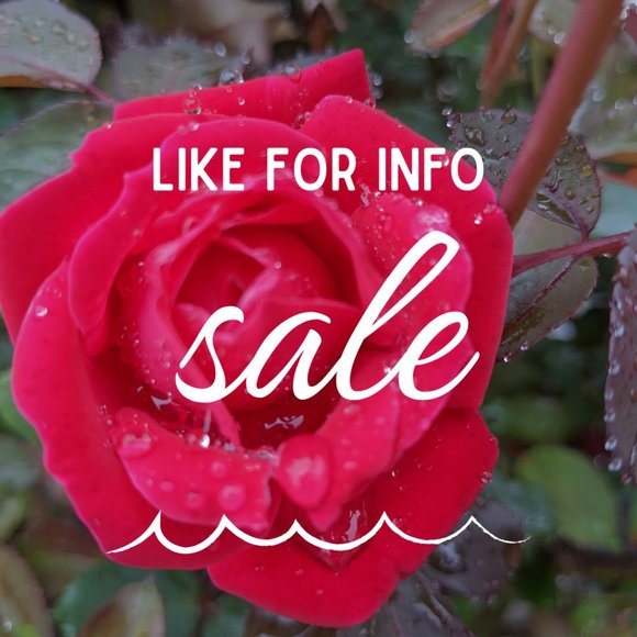 SALE NOW BOGO FREE Nutcrackers Holiday / Christmas Gift Sale Dec 9 - 16 vintage - Picture 2 of 4